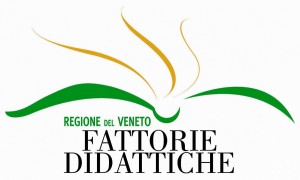 logo-ft-didattiche
